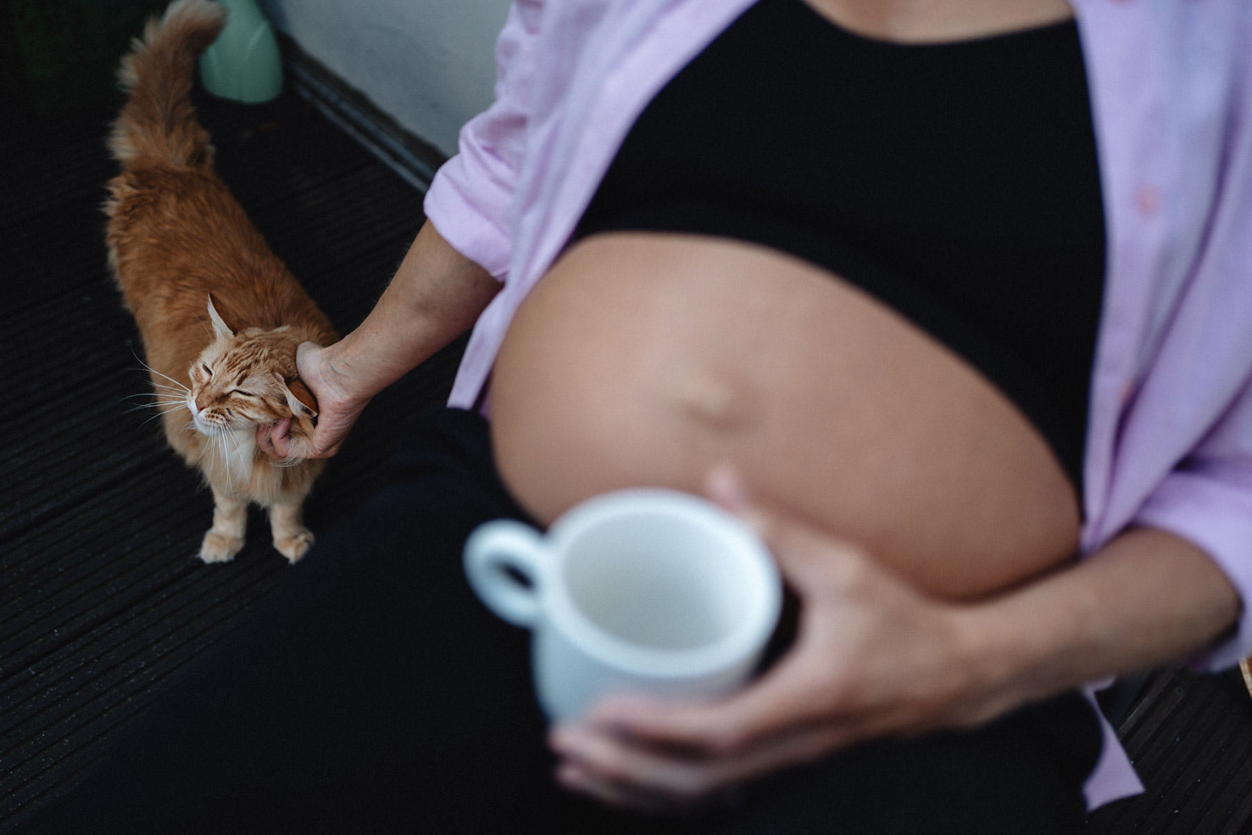Detailaufnahme einer schwangeren Frau mit Katze in einer ruhigen Alltagssituation